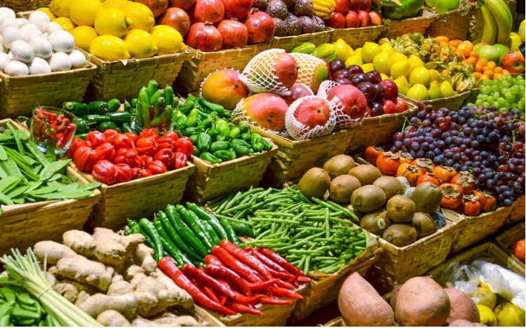 Vietrade to host consulting session for exports to Germany